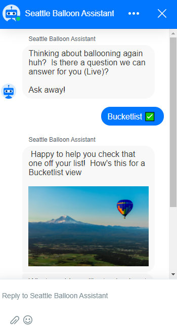 聊天机器人的例子是西雅图的热气球